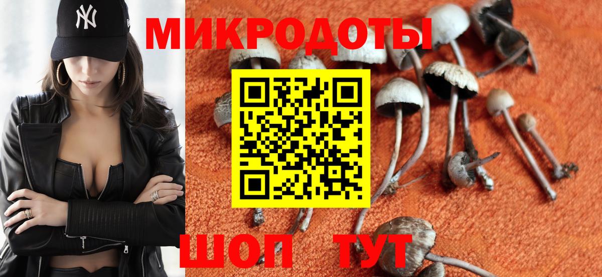 Псилоцибиновые грибы Cubensis Алапаевск